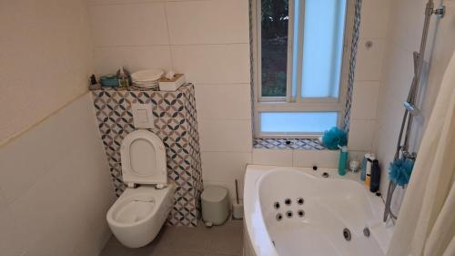 a bathroom with a tub and a toilet and a sink at הבית במושב in Umm el Shuf