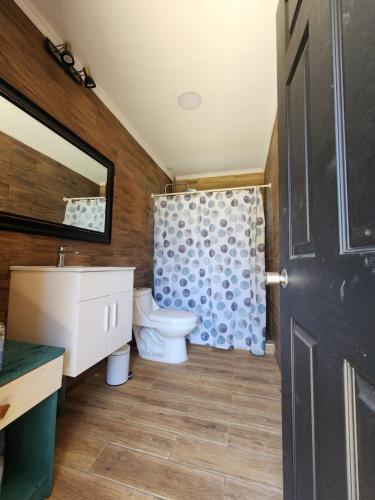 a bathroom with a toilet and a sink and a mirror at Cabaña independiente Quillón in Chillancito