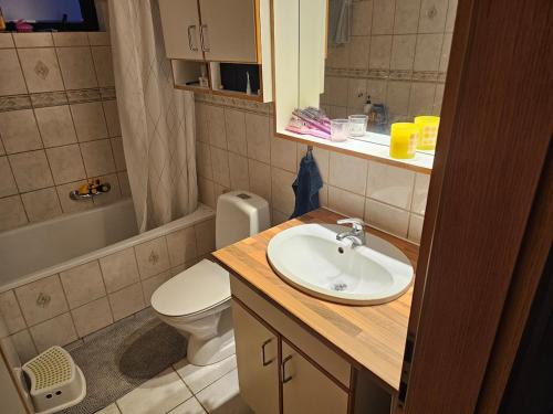 アクラネースにあるCozy little apartment in Akranes, Icelandの洗面台とトイレ付きのバスルーム