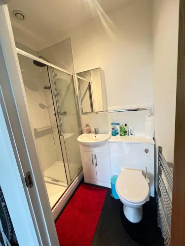a bathroom with a toilet and a sink and a shower at Heart of Notts, Spacious Studio, Great City Views in Nottingham