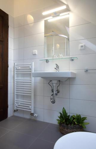 a bathroom with a sink and a mirror at Penzion Na 15. Poledníku in Jindřichŭv Hradec