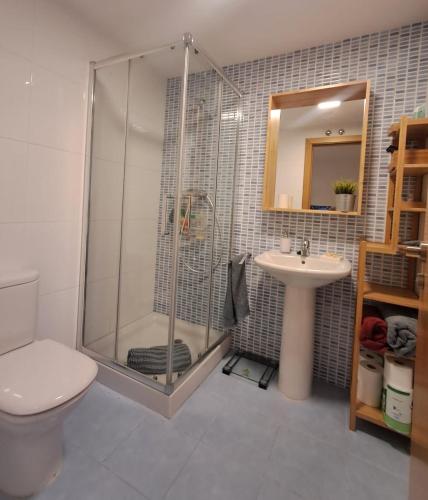 a bathroom with a shower and a toilet and a sink at Casa los Rebecos in Villanúa