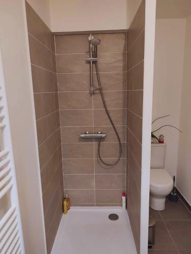 Ένα μπάνιο στο Chambre dans penthouse avec terrasse Parc Expo, Orléans, Orly & CDG