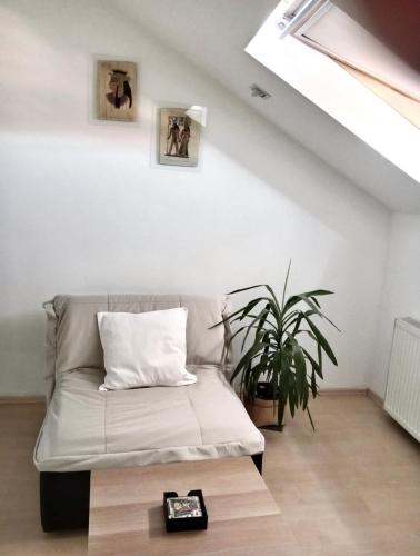 Imagen de la galería de Stan Na Dan - Mladenovac, en Mladenovac