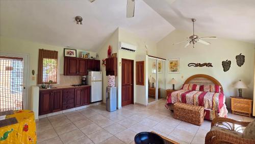 Afbeelding uit fotogalerij van Ocean Dream 1st See Line Studio in Cabarete