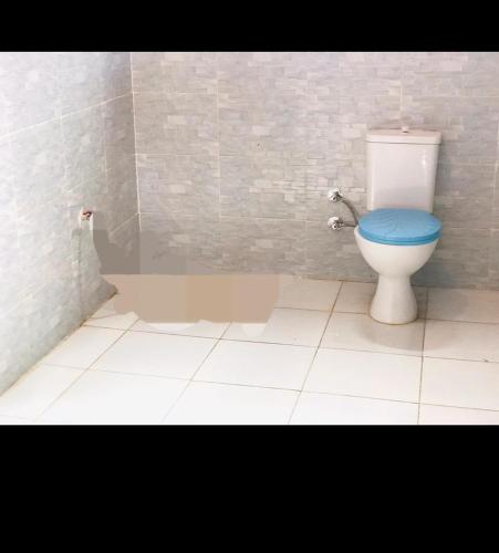 a bathroom with a toilet with a blue seat at Manar Hause & Nubian studio in Aswan
