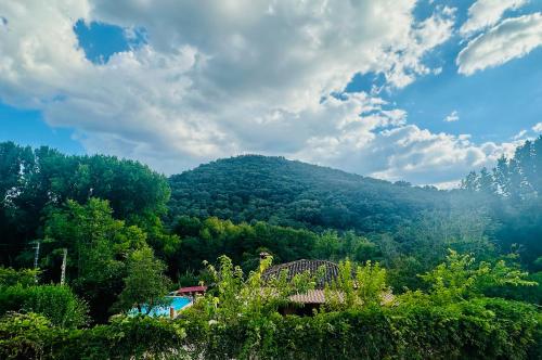 Blick auf einen Berg mit einem Haus und Bäumen in der Unterkunft Casa Rural Orilla del Hueznar in Cazalla de la Sierra