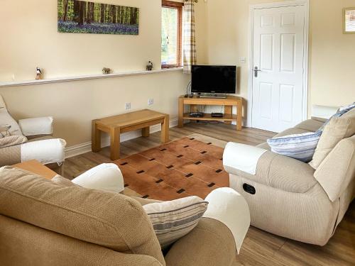 a living room with two couches and a tv at Woodpeckers Cabin in Bridlington