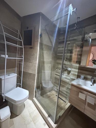 a bathroom with a shower and a toilet and a sink at Rabat Explorer Apartment in Rabat