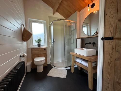 a bathroom with a shower and a toilet and a sink at The Cabin 6 minutes from the Eurotunnel in Folkestone