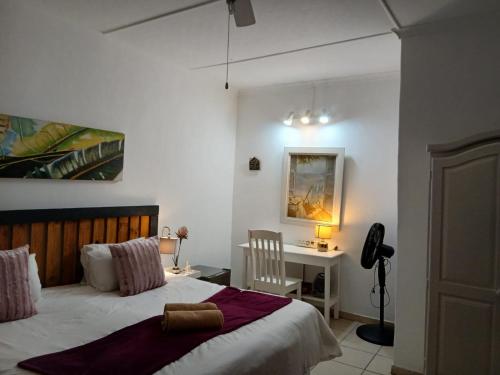 a bedroom with a bed and a desk with a chair at Aero Garden Ensuite in Johannesburg