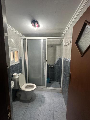 a bathroom with a shower and a toilet in it at Nouara Appart'Hotel in Chefchaouen