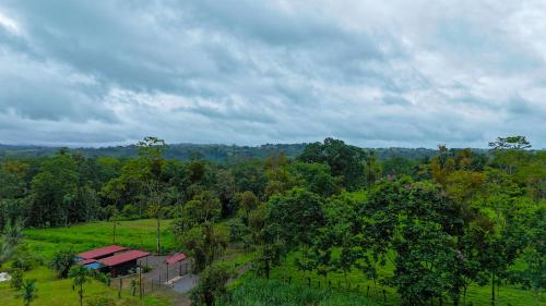 Fotografie z fotogalerie ubytování Refugio Las Cortezas v destinaci Tapantí