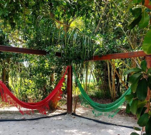 Un jardín fuera de Iloa resort