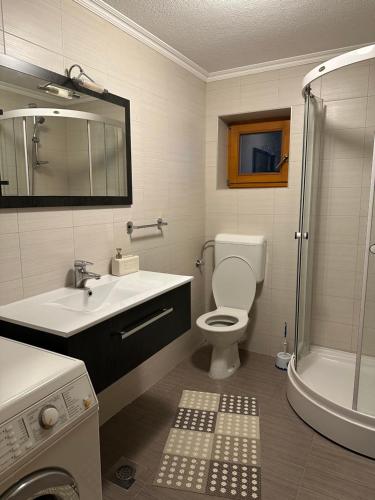 a bathroom with a toilet and a sink and a shower at Ice Queen Vlasic in Šišava
