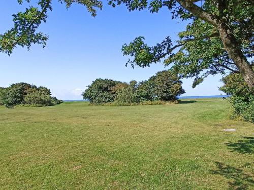 a field of grass with a tree in the foreground at 2 person holiday home in Otterup in Otterup
