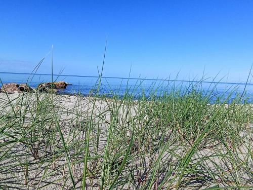 a beach with tall grass in front of the ocean at 2 person holiday home in Otterup in Otterup