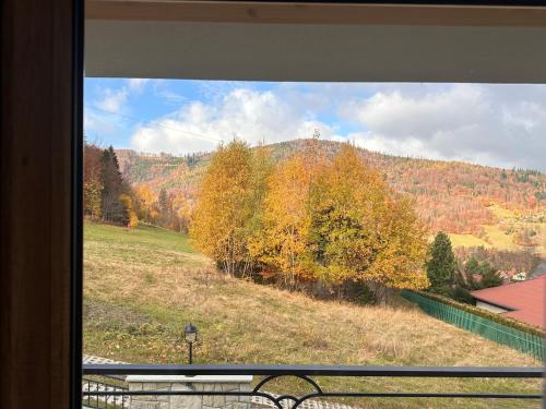 a window with a view of a field and trees at Bella Monte in Szczyrk