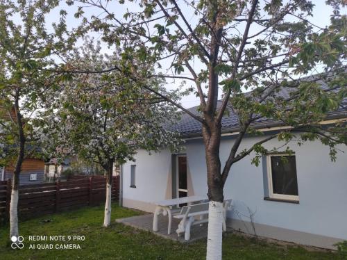 a white house with a picnic bench in the yard at Noclegi W Sadzie in Rajcza