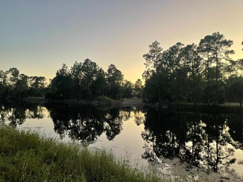 a reflection of trees in the water at sunset at Tropical Jungle Bugelow in Naples
