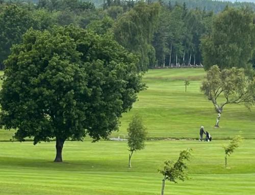 Golf v chaty nebo okolí