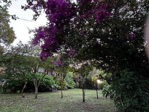 Κήπος έξω από το Encanto do Mar Praia do Rosa