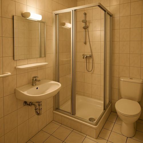 a bathroom with a shower and a sink and a toilet at BB-Miklos in Bockenem