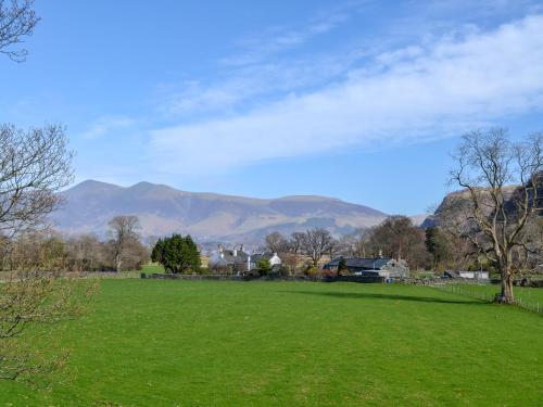 a field of green grass with mountains in the background at Field House Lodge in Borrowdale Valley