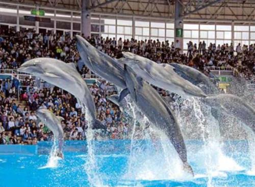 Πισίνα στο ή κοντά στο Hare