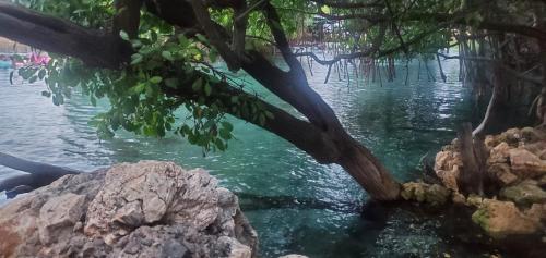 Φωτογραφία από το άλμπουμ του Dev place σε Lennansville