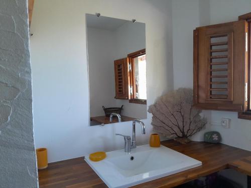a bathroom with a sink and a mirror at Coucher de soleil in Bouillante