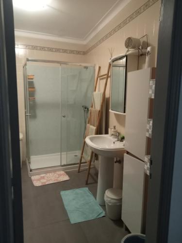 a bathroom with a shower and a sink at Appartement Salir do Porto in Salir de Porto