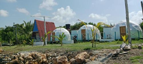 a group of domes at a resort at Barracuda Glamping in Paso Nuevo