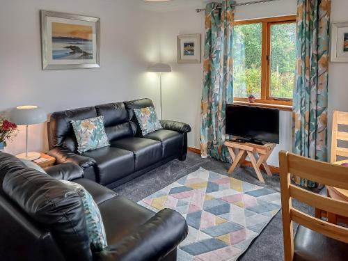 a living room with a leather couch and a television at Birch Lodge - 28880 in Torcastle