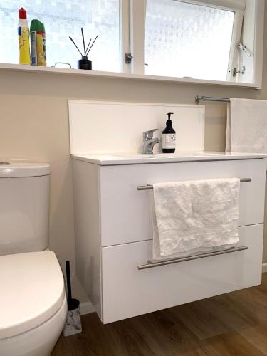 a bathroom with a white toilet and a window at Birch Court - Harakeke in Whanganui