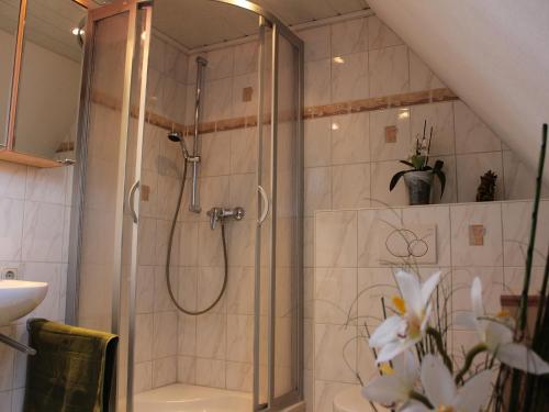 ein Bad mit einer Dusche und einem Waschbecken in der Unterkunft Ostseehaus Oe in Sierksdorf