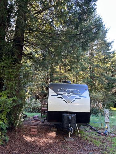 a white and black trailer parked in the woods at Puma The RV in Klamath