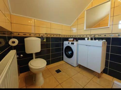 een badkamer met toilet en wasmachine bij Luxury Pool Villa Aurora in Hrebinec