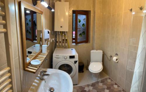 a bathroom with a toilet sink and a washing machine at Kalinderu Slope View in Buşteni