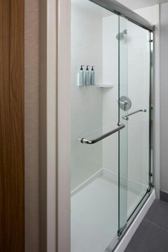 a shower with a glass door in a bathroom at Courtyard Williamsburg - Busch Gardens in Williamsburg