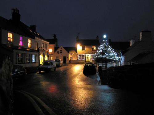 een verlichte kerstboom op een stadsstraat 's nachts bij Bodarfor By The Sea in Aberdaron
