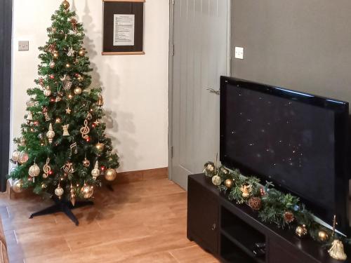 TV a/nebo společenská místnost v ubytování River Lodge Annexe