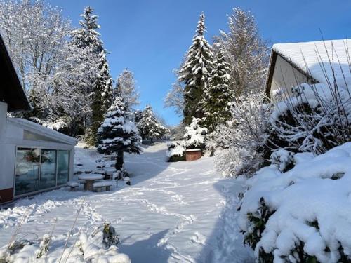 a yard covered in snow with trees and a house at Appartement Aux Deux Cigognes Bis in Gries