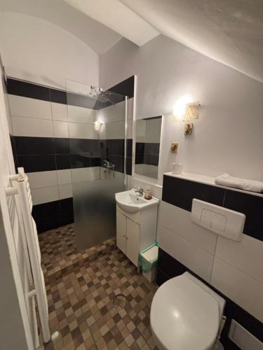 Ένα μπάνιο στο Brasov Gondola Apartments