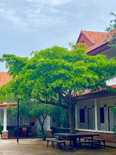a tree with benches in front of a building at The Terrace Homestay Resort in Tak
