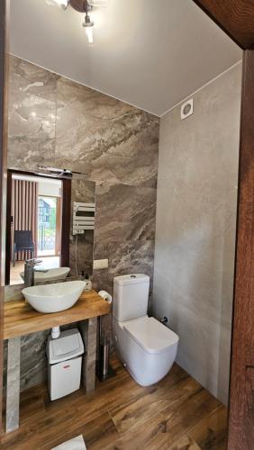 ein Badezimmer mit einer weißen Toilette und einem Waschbecken in der Unterkunft Willa Zacisze Szczawnica 25 m2 in Szczawnica