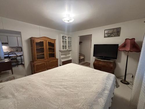 TV a/nebo společenská místnost v ubytování Studio Sillankorva