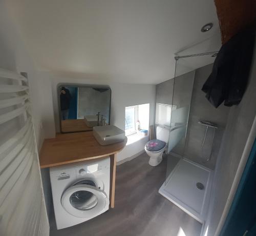 a small bathroom with a washing machine and a mirror at T2 refait à Neuf au calme avec TV et Fibre in Craponne