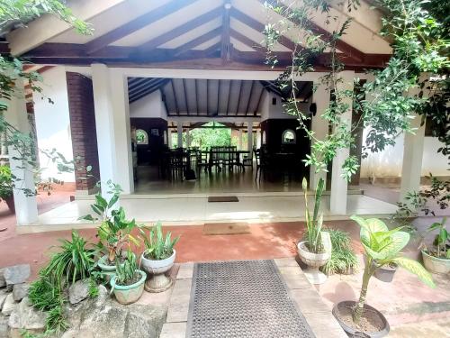 Vườn quanh Eco Pavilion