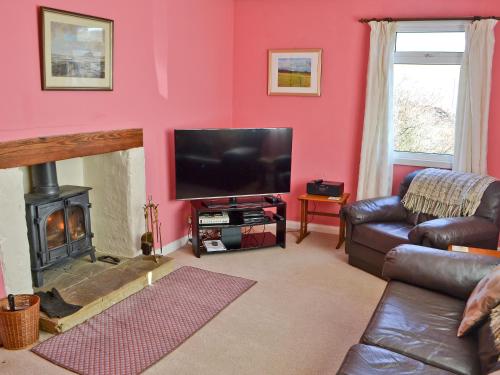 a living room with a flat screen tv and a fireplace at Rowan Cottage-80119 in Catcleugh